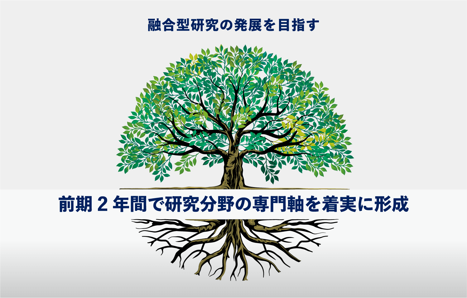 前期2年間で研究分野の専門軸を着実に形成