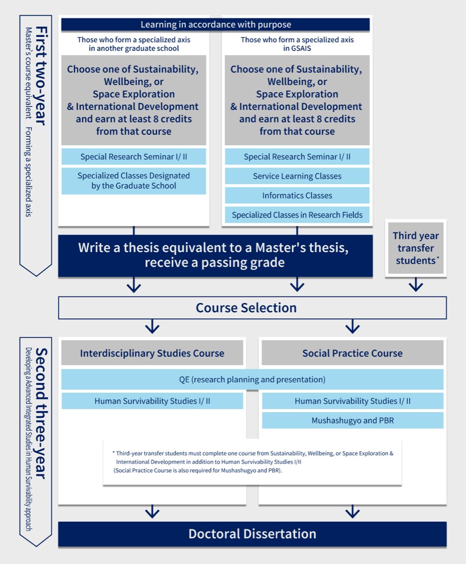 Diagram showing the New GSAIS Curriculum
